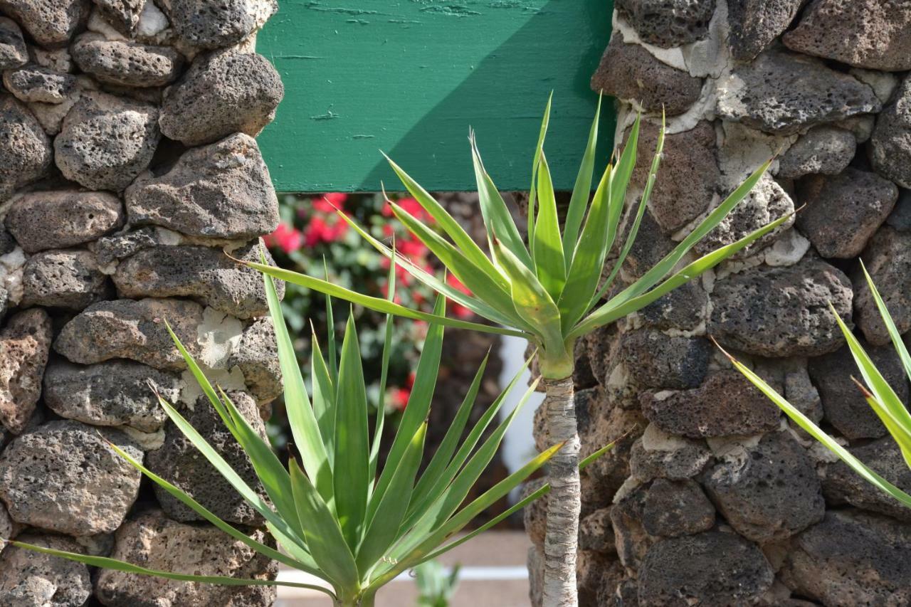 Ave Paraiso - Cozy And Sunny House Puerto del Carmen  Ngoại thất bức ảnh